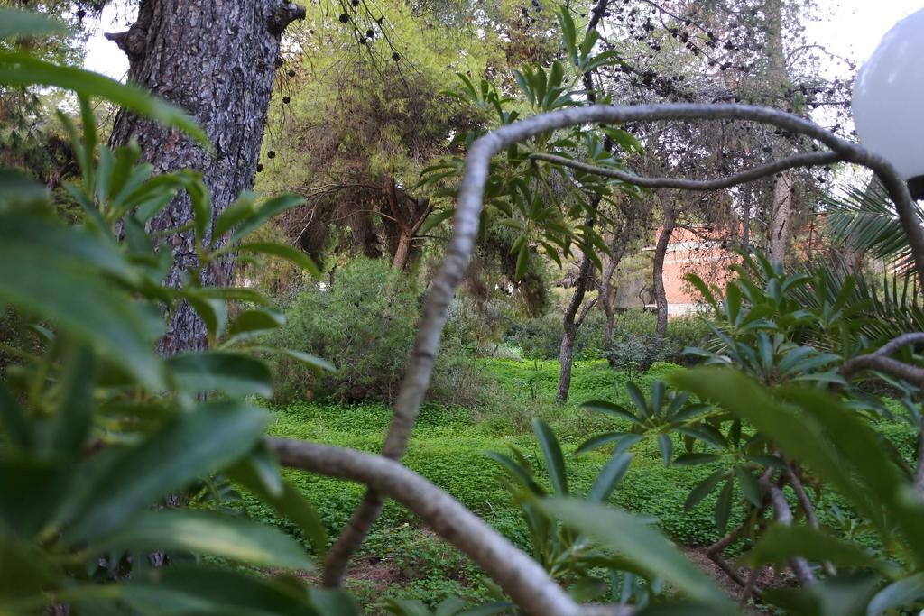 The Delfini Hotel Agia Marina  Extérieur photo